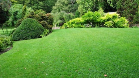 R&eacute;ussissez l'entretien de vos espaces verts &agrave; Jujurieux facilement